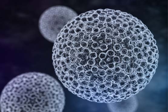 Struktura dhe Rëndësia e Virusit HPV