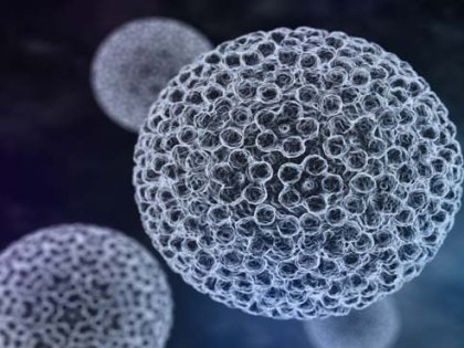 Struktura dhe Rëndësia e Virusit HPV